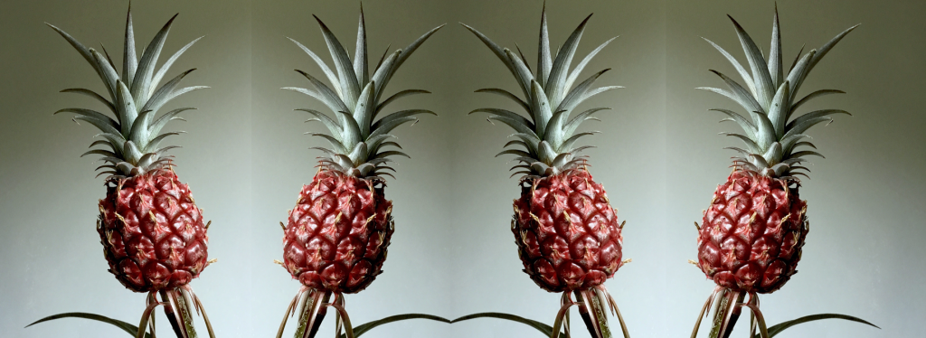 ananas